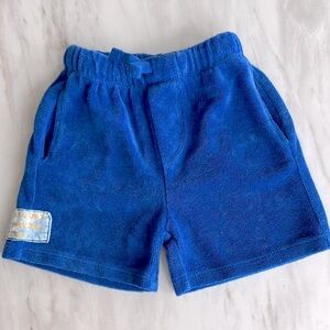 Zara Blue Terry Cloth Casual Shorts